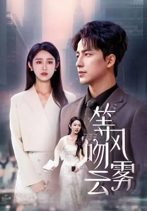 繁花 剧集 2023 王家卫