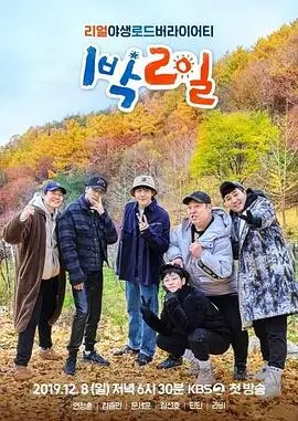 向往的生活 综艺 2023 王征宇